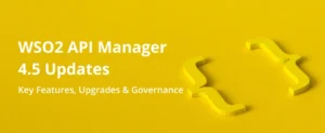 WSO2 API Manager 4.5 – Key Features, Upgrades & Governance